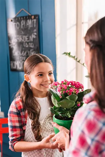 Tienes patio o jardín: Cómo aprovecharlo al máximo | Estrategia #19 Los huertos urbanos y el cultivo de alimentos son una forma de aprovechar al máximo el patio o jardín.