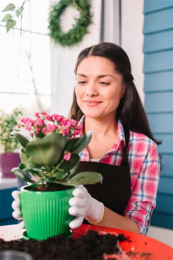 Tienes patio o jardín: Cómo aprovecharlo al máximo | Estrategia #19 Mantenimiento y cuidado del patio o jardín.